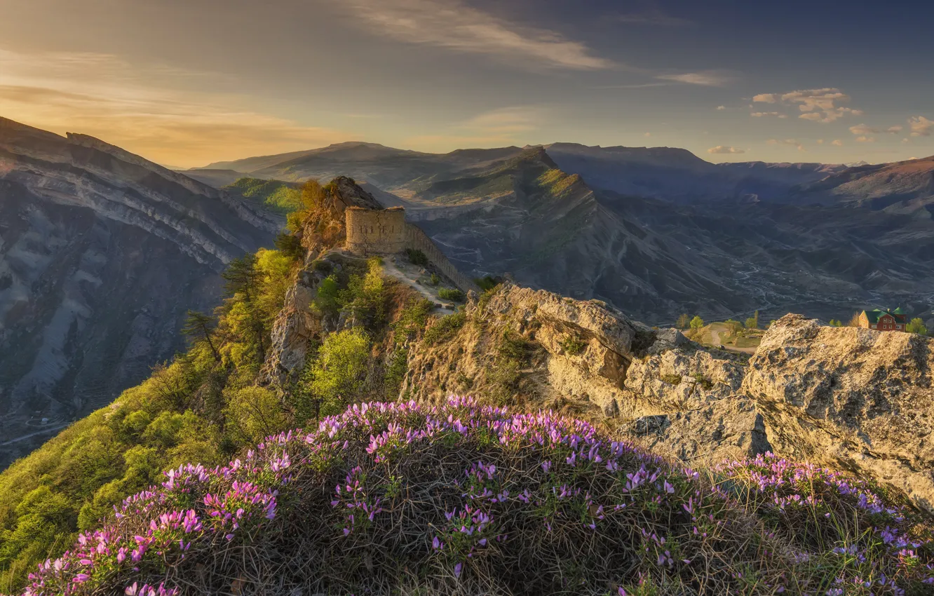 Photo wallpaper landscape, mountains, nature, morning, fortress, Dagestan, rhododendrons, Dmitry Puzenko