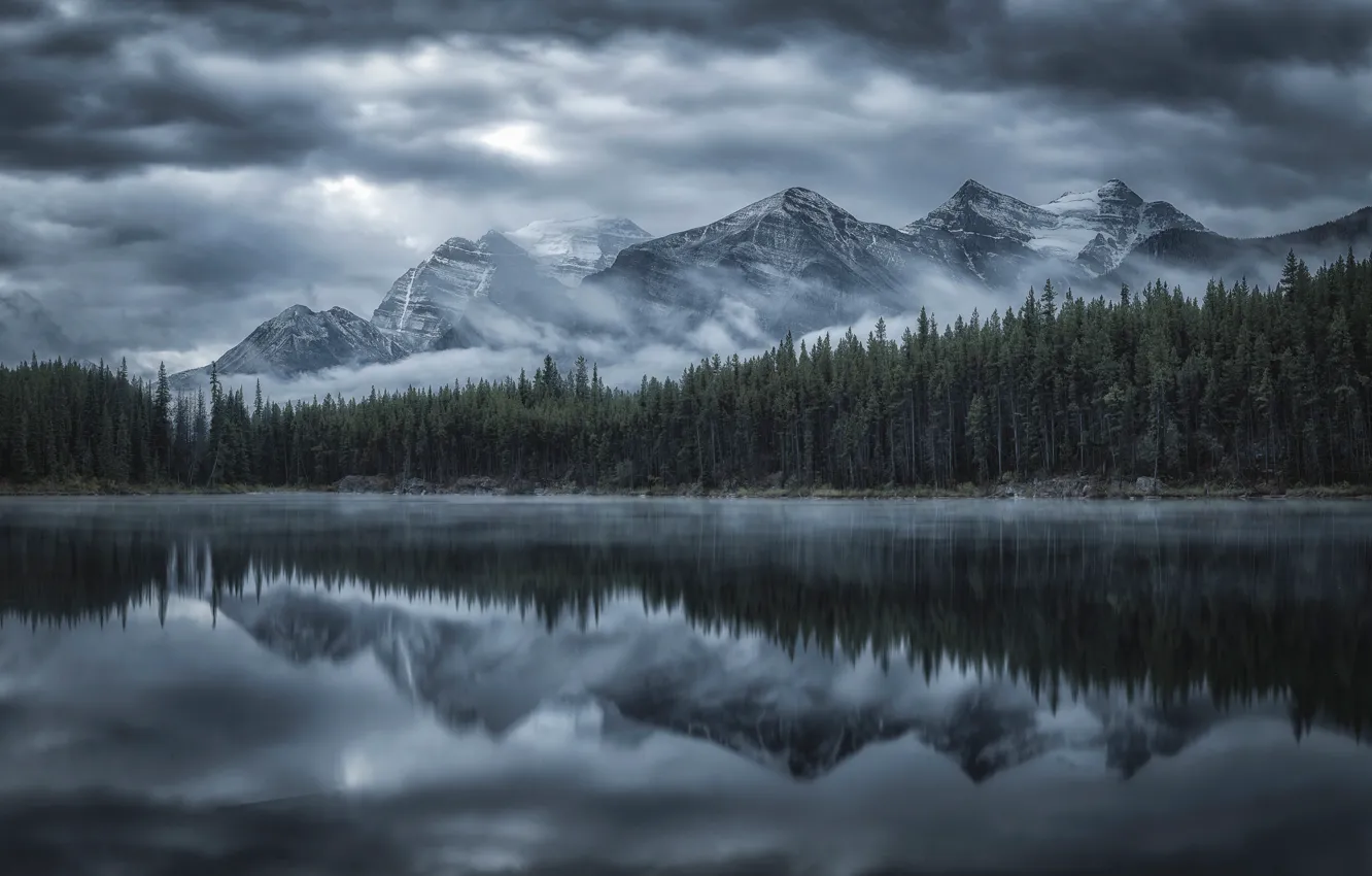Photo wallpaper forest, clouds, reflection, mountains, fog, lake, river