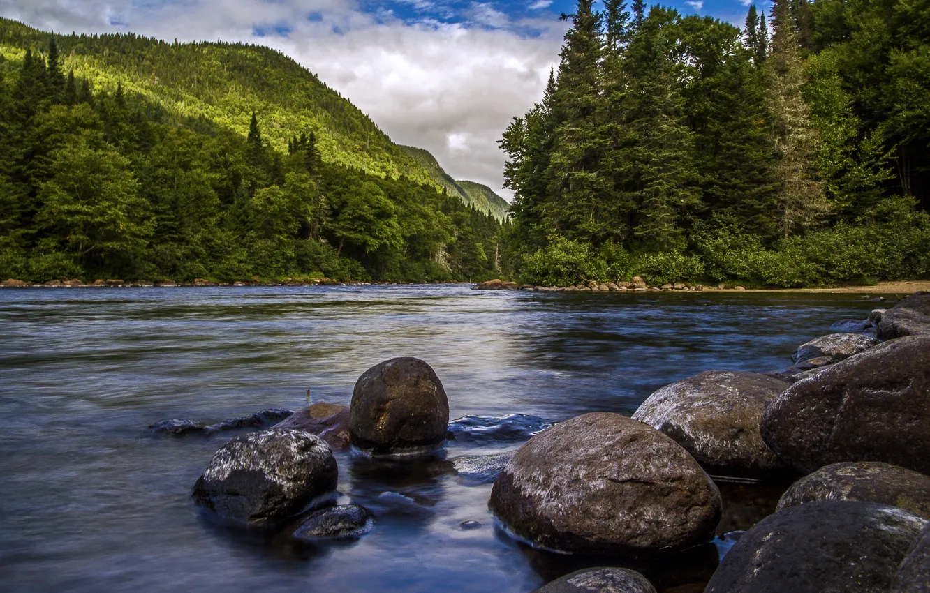 Photo wallpaper forest, clouds, trees, mountains, river, stones, Canada, Quebec