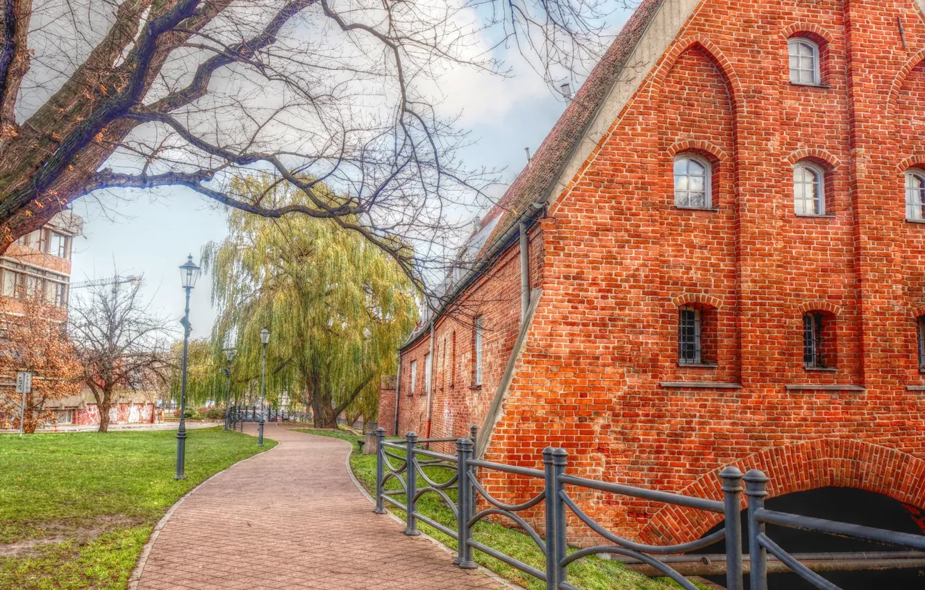 Photo wallpaper tree, street, Poland, building