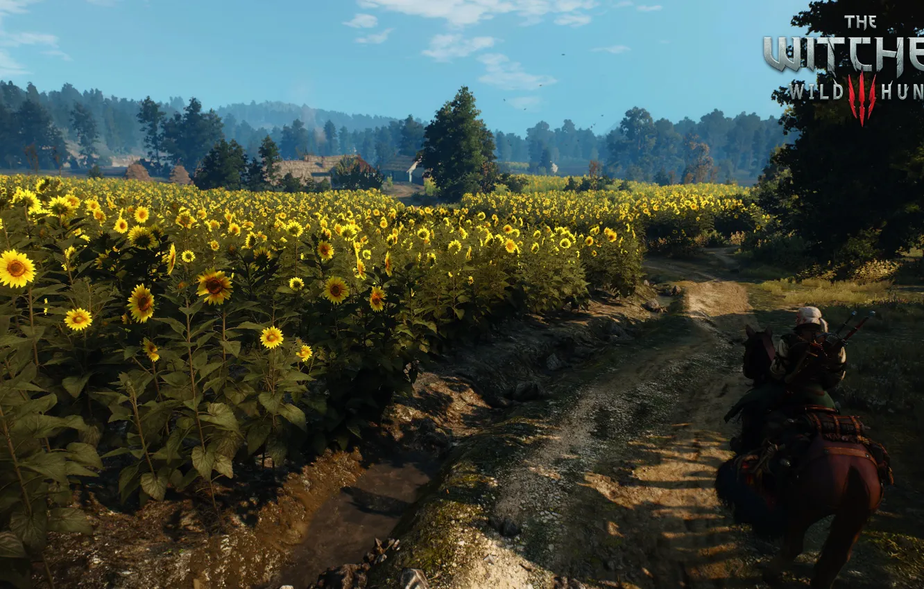 Photo wallpaper The Witcher, Geralt of Rivia, The Witcher 3 Wild Hunt