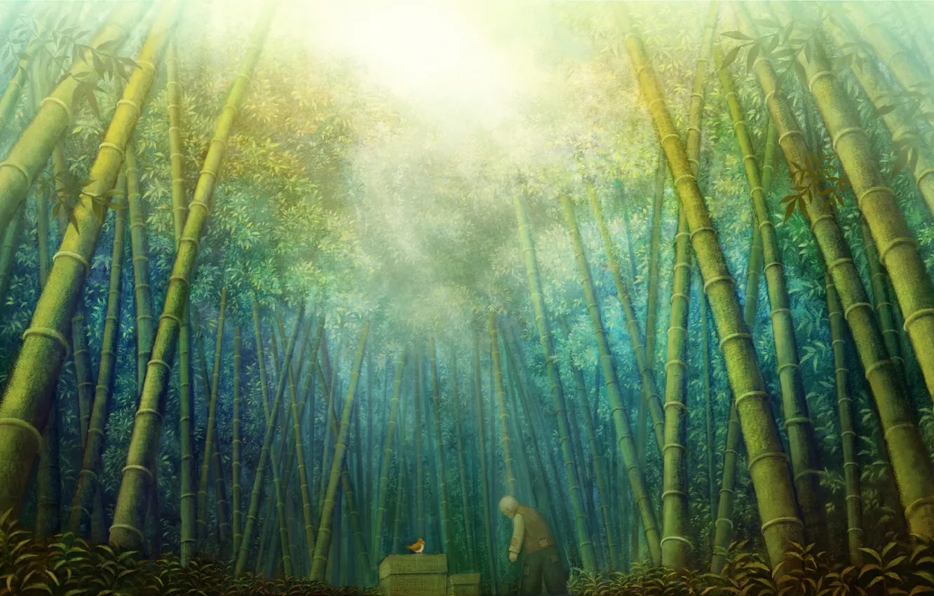 Photo wallpaper forest, leaves, the sun, nature, anime, bamboo, art, bird