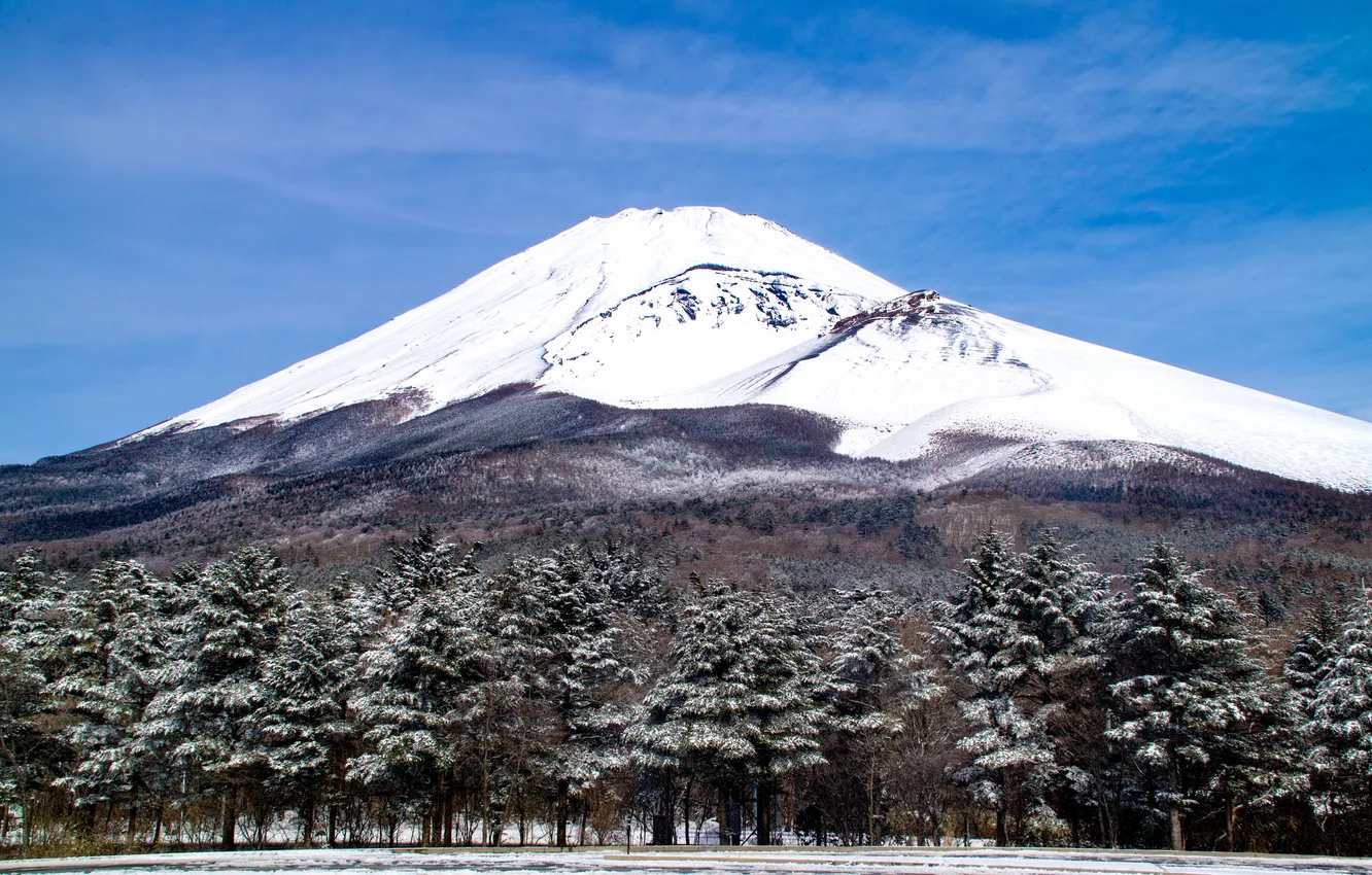Photo wallpaper trees, landscape, mountain, the volcano, Japan, Fuji