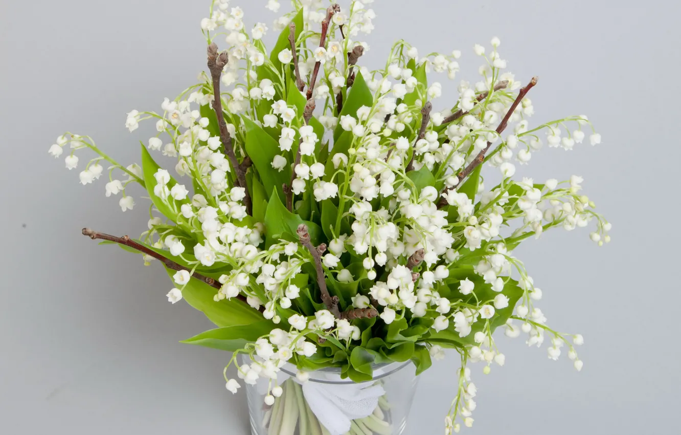 Photo wallpaper flowers, nature, bouquet, spring, lilies of the valley, spring, landuse