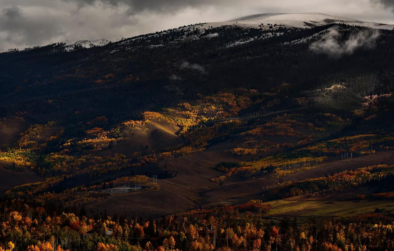 Photo wallpaper autumn, forest, trees, mountains, the dark background, overcast, hills, slope