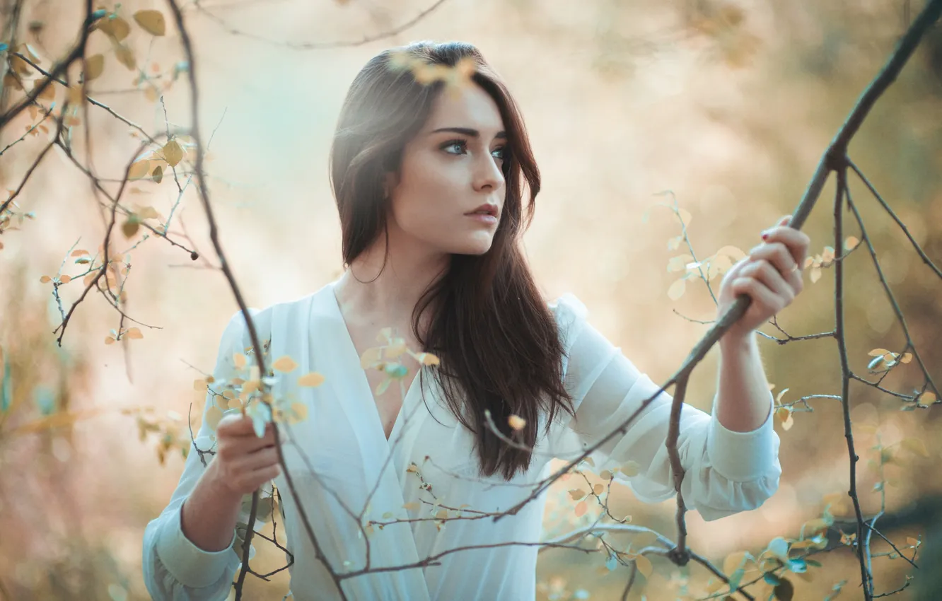 Photo wallpaper girl, branches, mood, Jose Macias