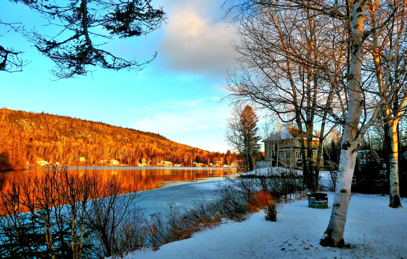 Photo wallpaper winter, forest, snow, landscape, nature, lake, shore, Canada