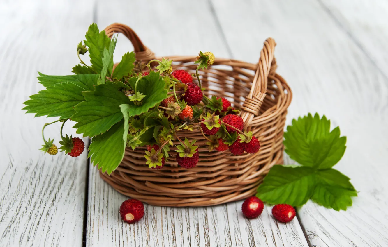 Photo wallpaper berries, strawberries, basket, twigs, Olena Rudo