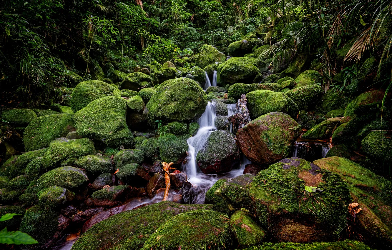 Photo wallpaper stream, stones, moss