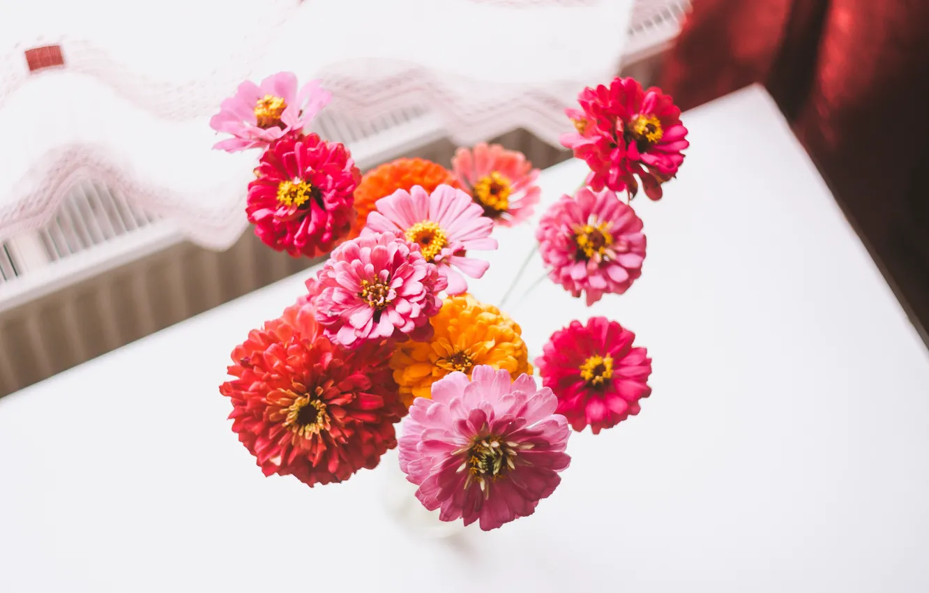 Photo wallpaper flowers, bouquet, petals, tsiniya