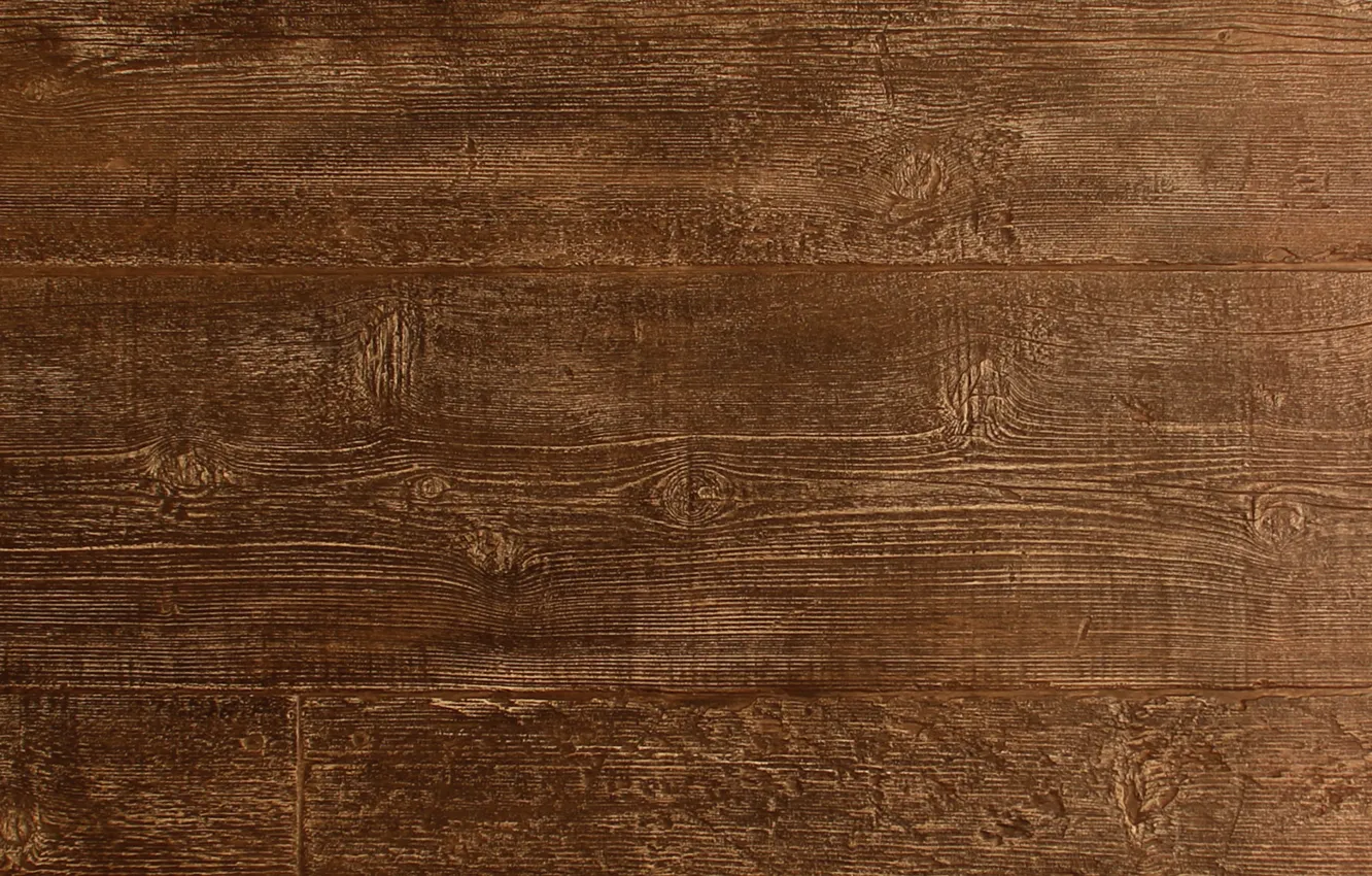 Photo wallpaper light, wood, texture, brown