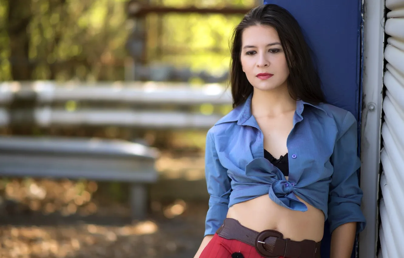 Photo wallpaper girl, background, Sheba