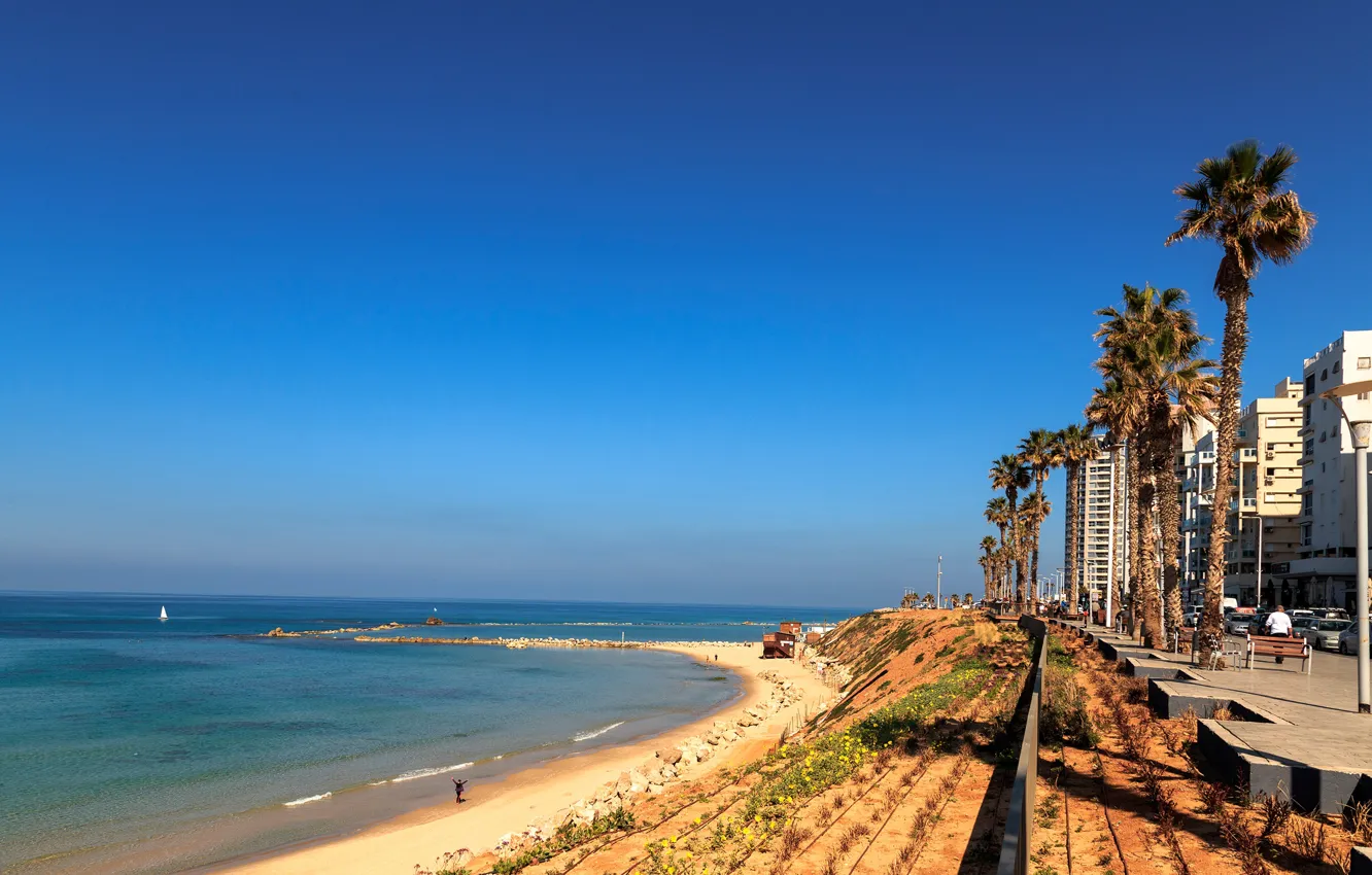 Photo wallpaper sand, sea, beach, the sky, the sun, stones, palm trees, coast