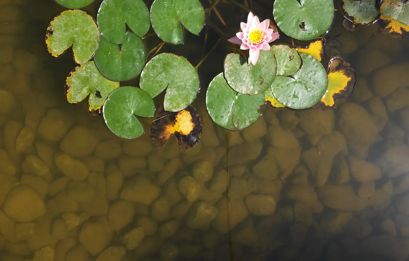 Photo wallpaper lake, Persia, Iran