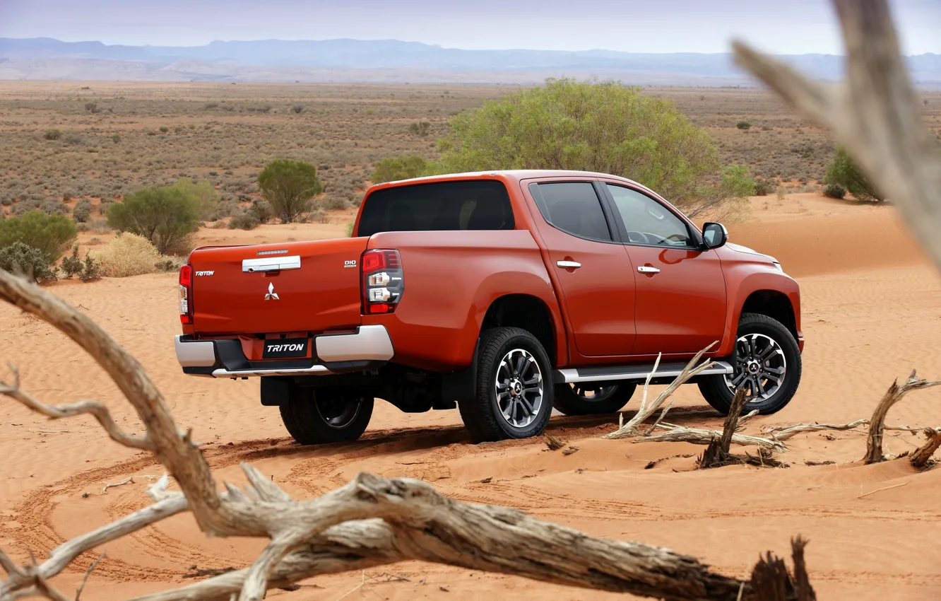 Photo wallpaper branch, back, Mitsubishi, pickup, Double Cab, L200, Triton, 2019