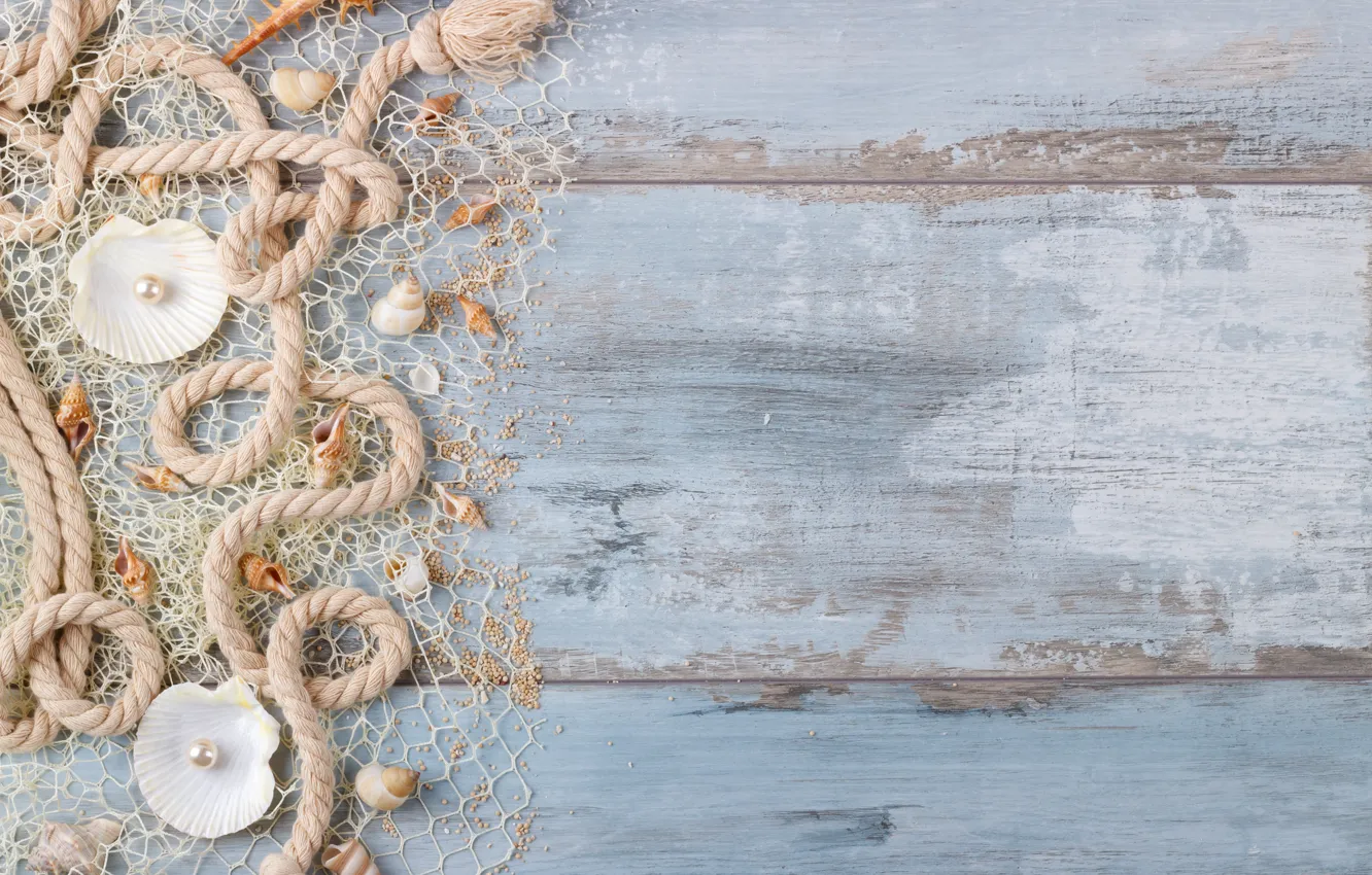 Photo wallpaper sand, shell, wood, sand, marine, still life, pearl, seashells