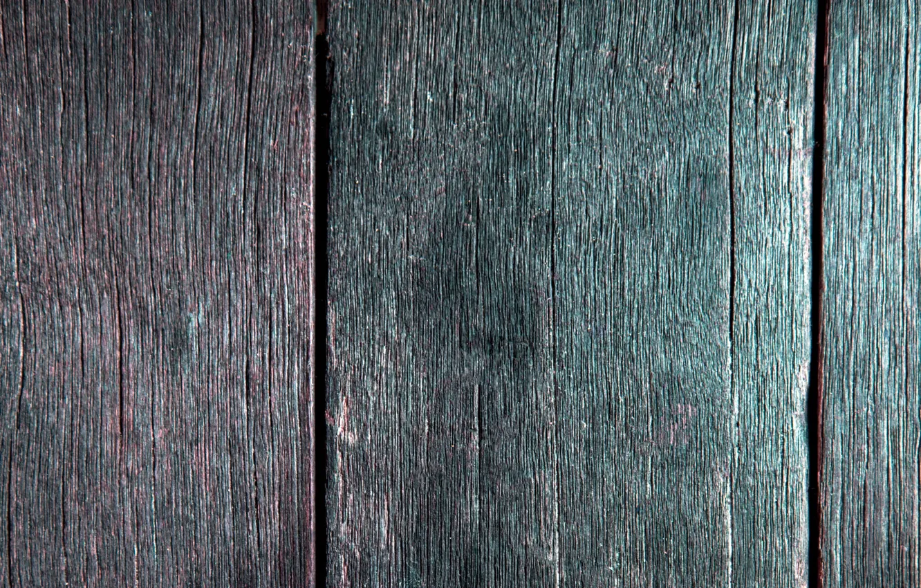 Photo wallpaper color, wood, texture