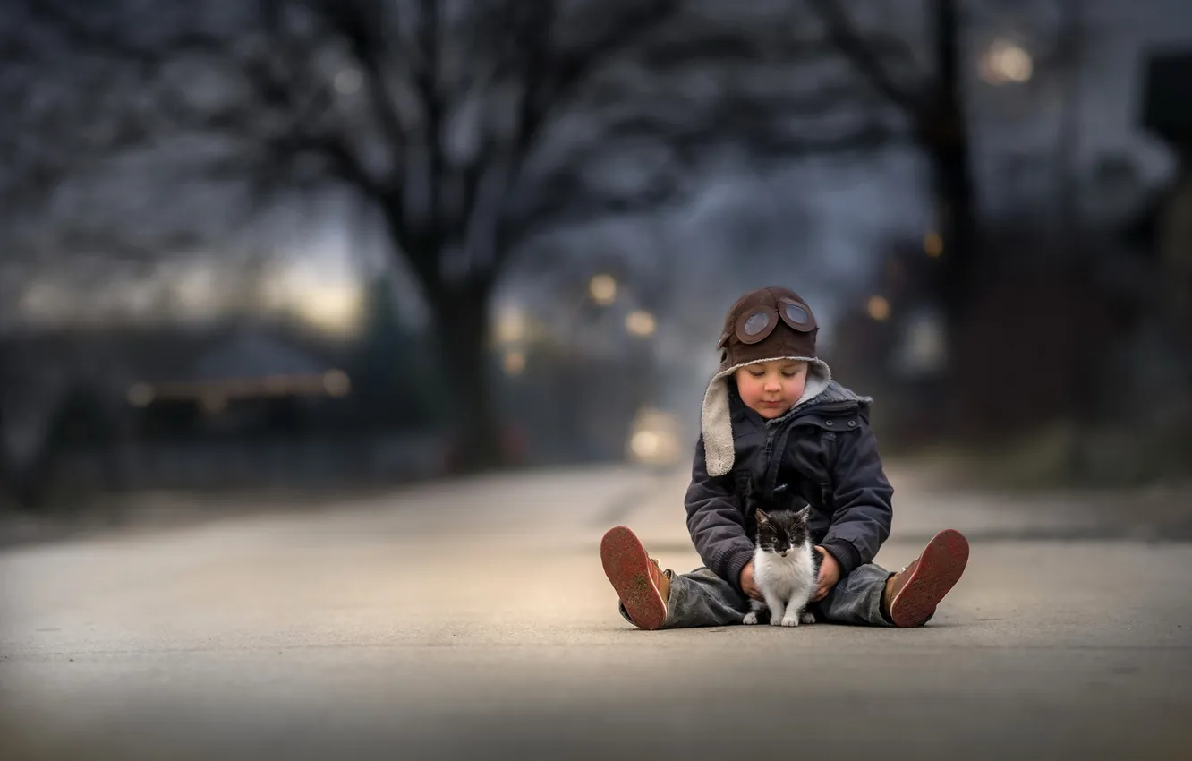 Photo wallpaper cat, street, boy