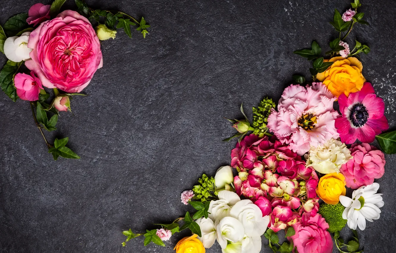 Photo wallpaper flowers, background, hydrangea, eustoma