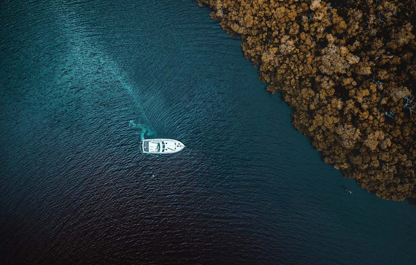 Photo wallpaper sea, water, trees, shore, yacht, top, river, the view from the top
