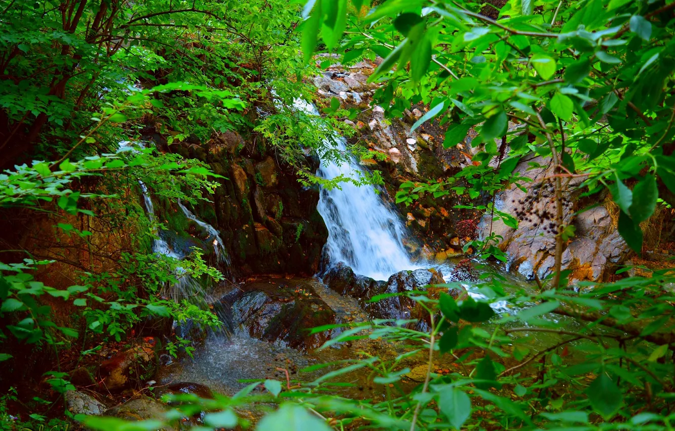 Photo wallpaper nature, stones, waterfall, stream, nature, waterfall, Flow