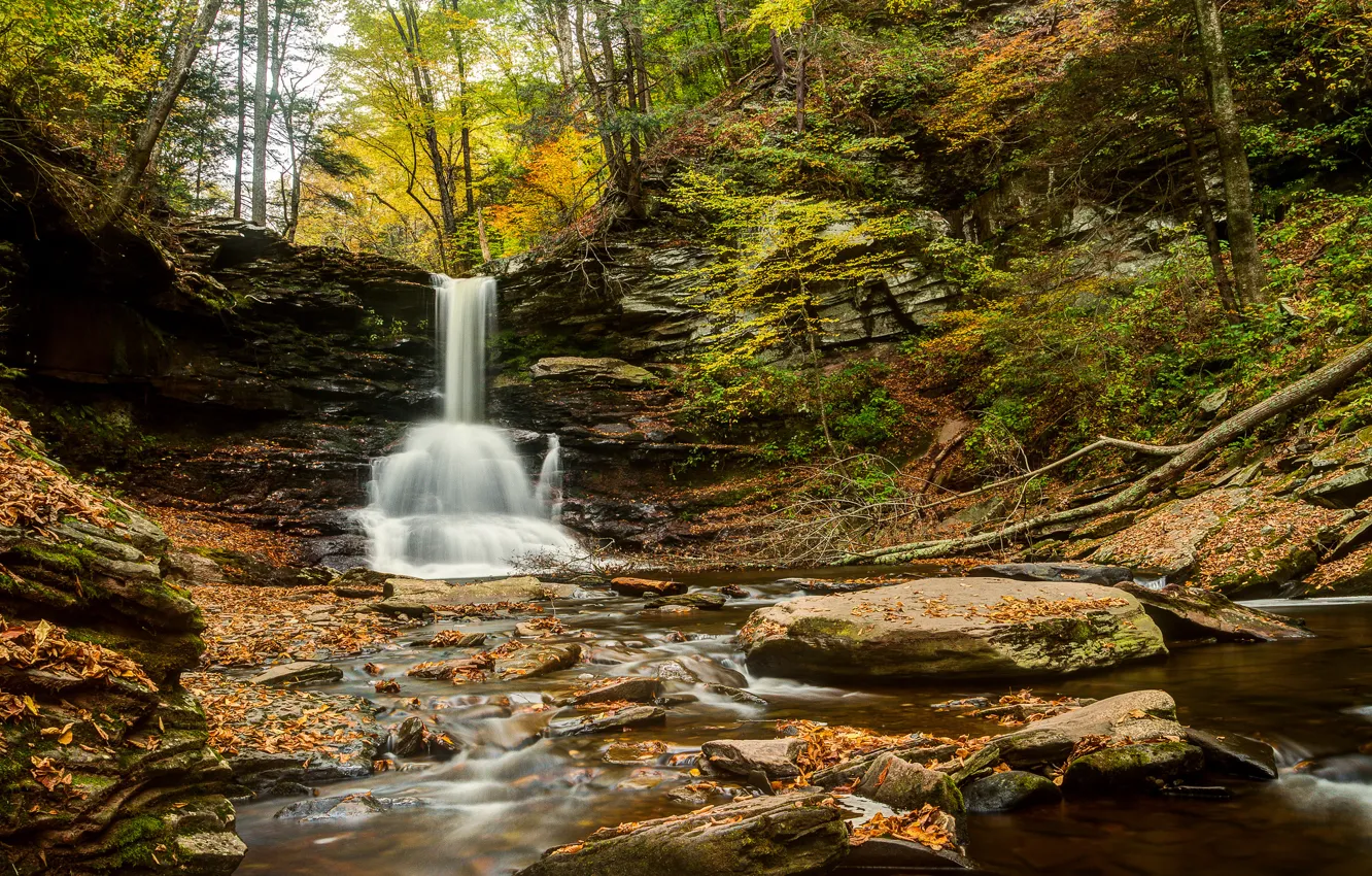 Photo wallpaper autumn, forest, river, stones, waterfall, PA, Pennsylvania, Sheldon Reynolds Falls