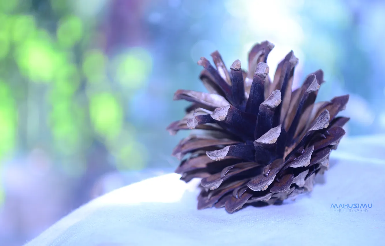 Photo wallpaper macro, shawl, bumps, bokeh