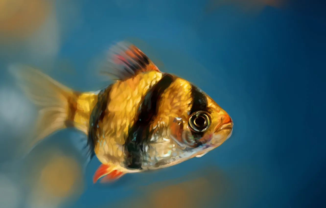 Photo wallpaper figure, fish, by SalamanDra-S