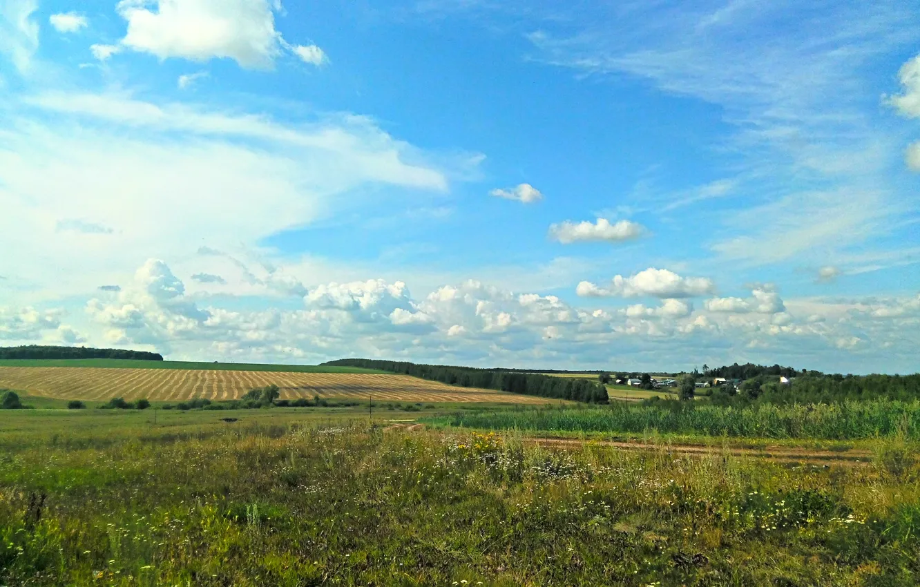 Photo wallpaper field, forest, summer, trees, strip, home, village