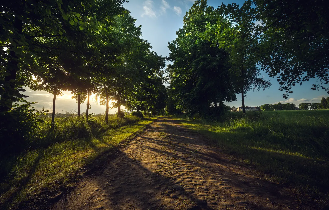 Photo wallpaper road, summer, morning