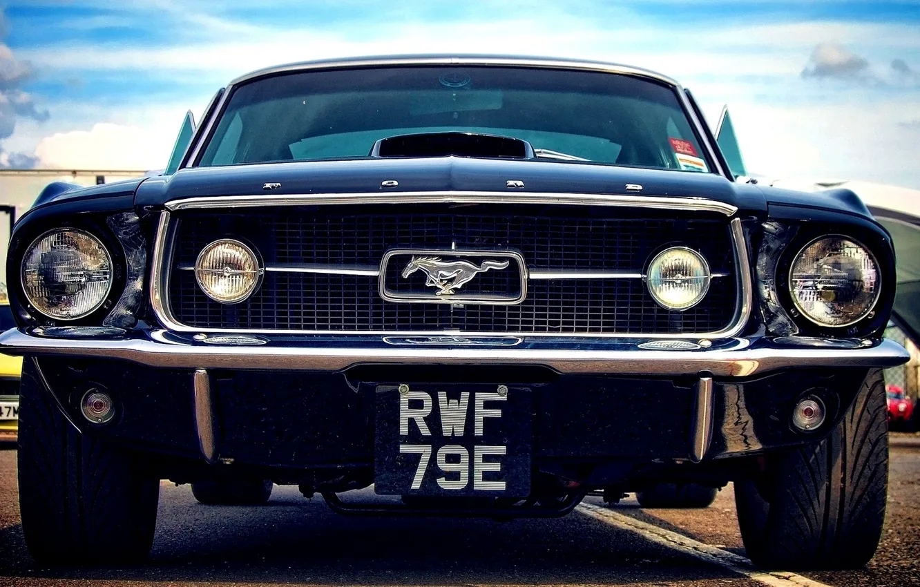 Photo wallpaper Mustang, Ford, emblem, front, badge, bumper