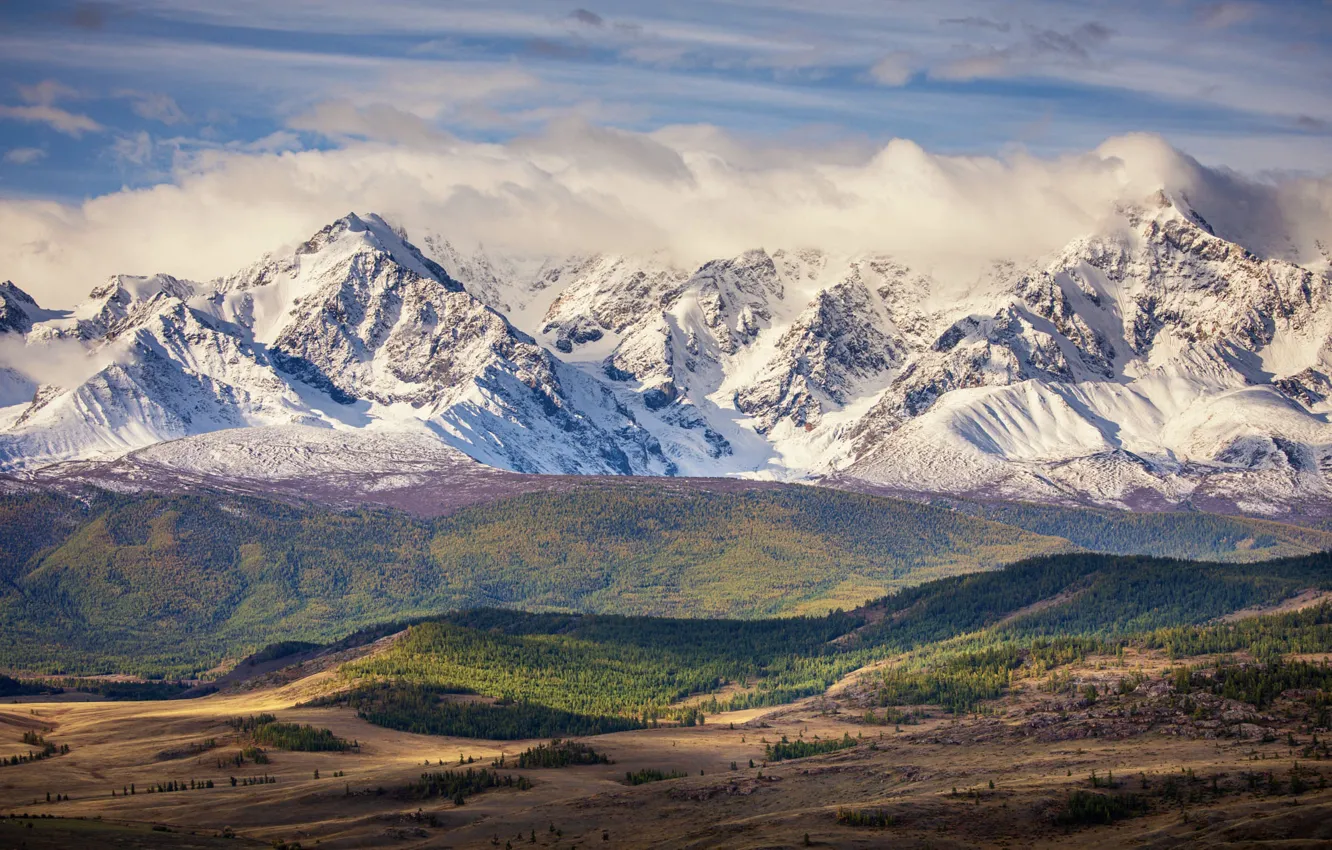Photo wallpaper forest, clouds, snow, mountains, hills, height, snowy peaks