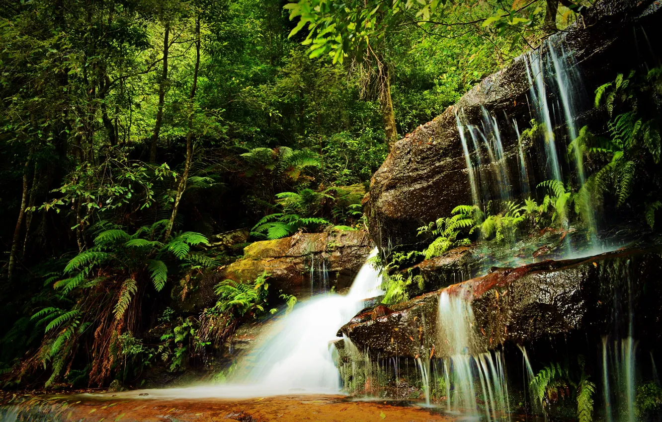 Photo wallpaper greens, forest, grass, trees, rocks, waterfall