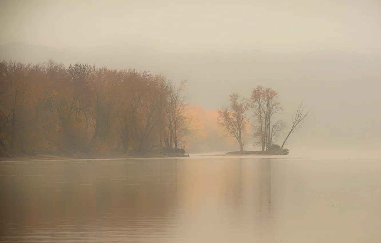 Photo wallpaper fog, river, morning, morning, fog, early, Mississippi river