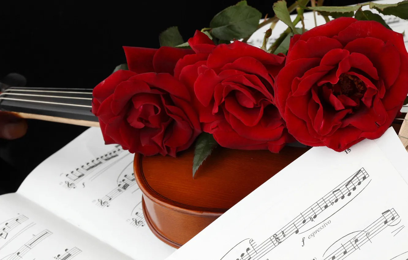 Photo wallpaper flowers, red, notes, violin, roses, three