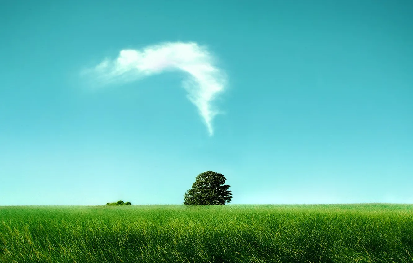 Photo wallpaper clouds, tree, Field
