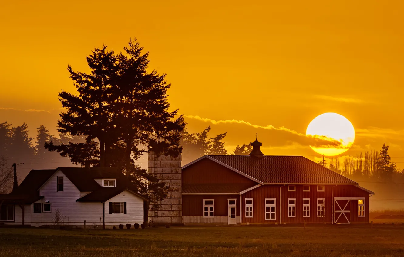 Photo wallpaper field, the sky, the sun, trees, sunset, home