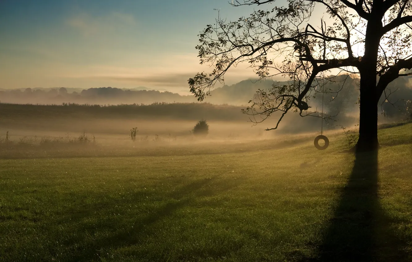 Photo wallpaper greens, the sky, grass, leaves, clouds, trees, branches, nature