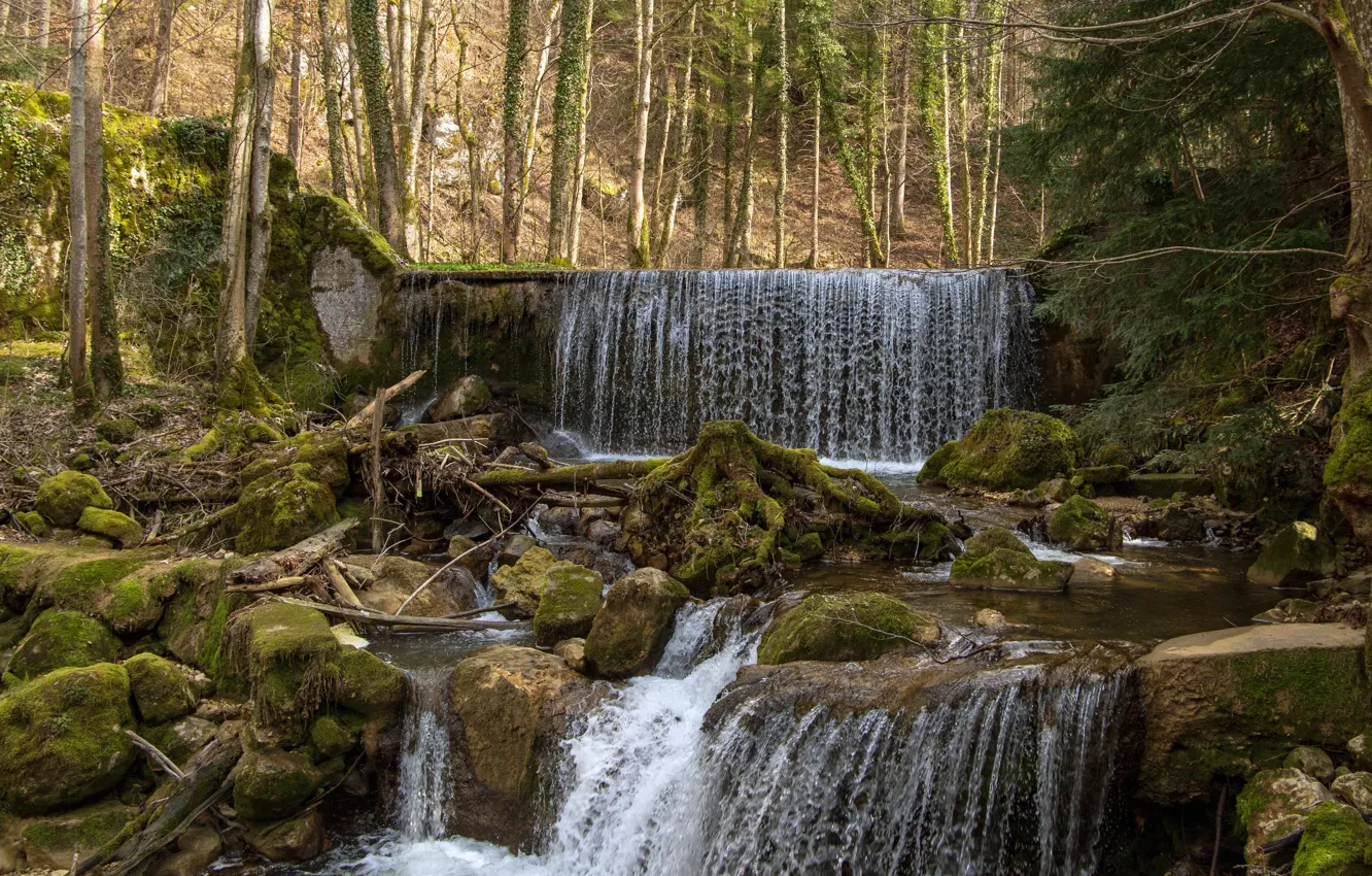 Photo wallpaper Nature, Waterfall, River, Forest, Stones, Moss