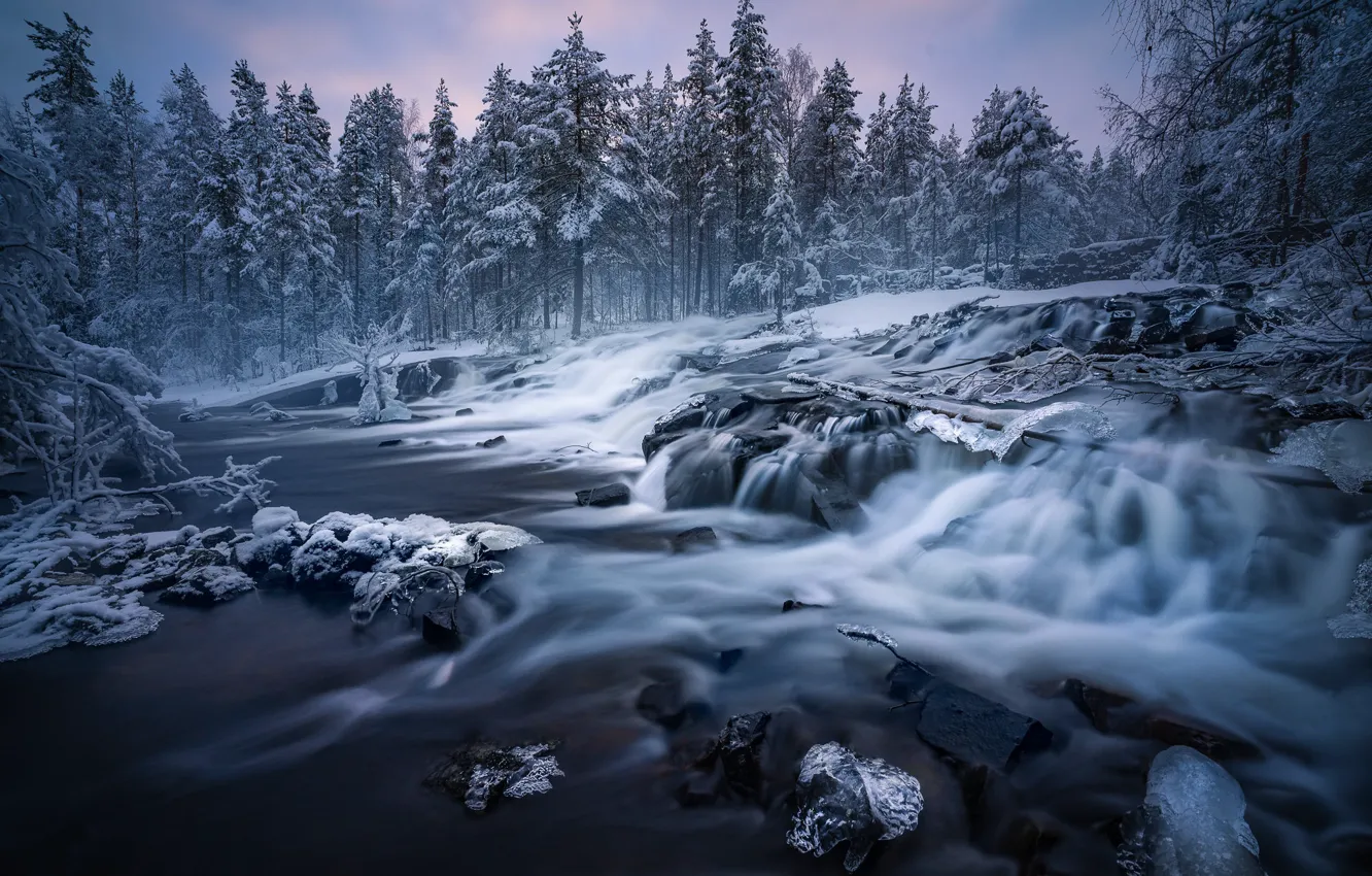 Photo wallpaper winter, forest, trees, river, Norway, cascade, Norway, RINGERIKE