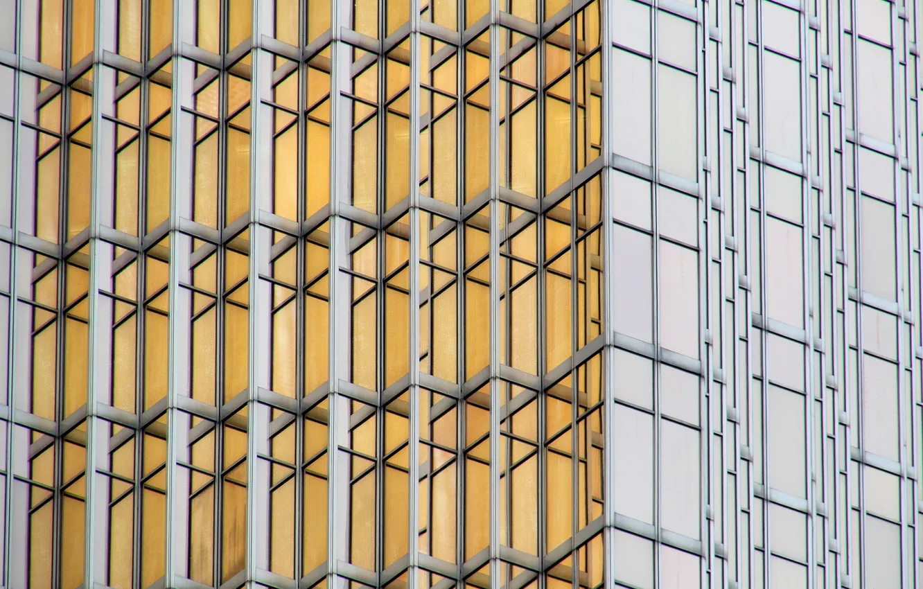 Photo wallpaper line, geometry, structure