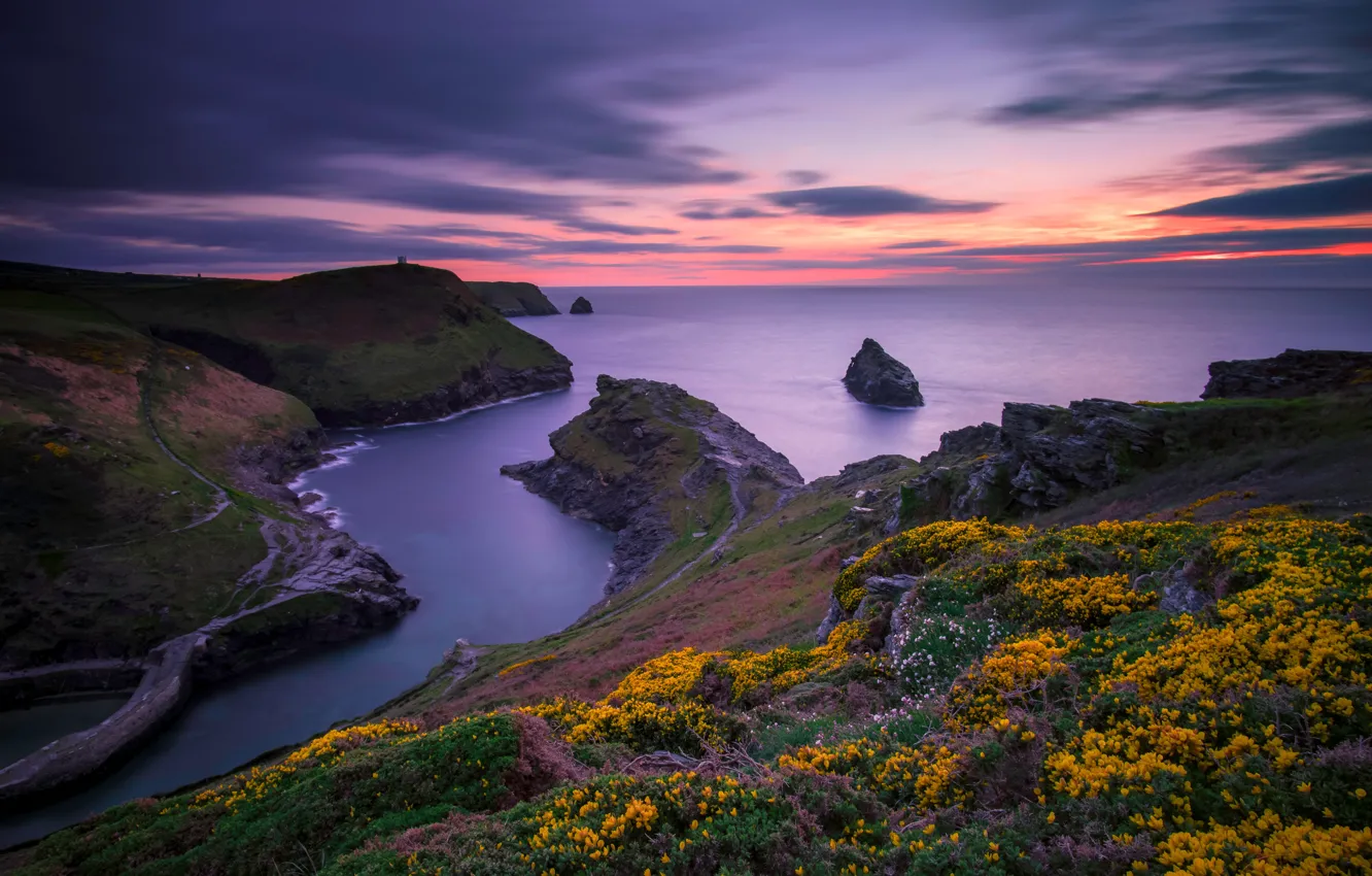Photo wallpaper sea, the sky, sunset, flowers, stones, rocks, coast, slope