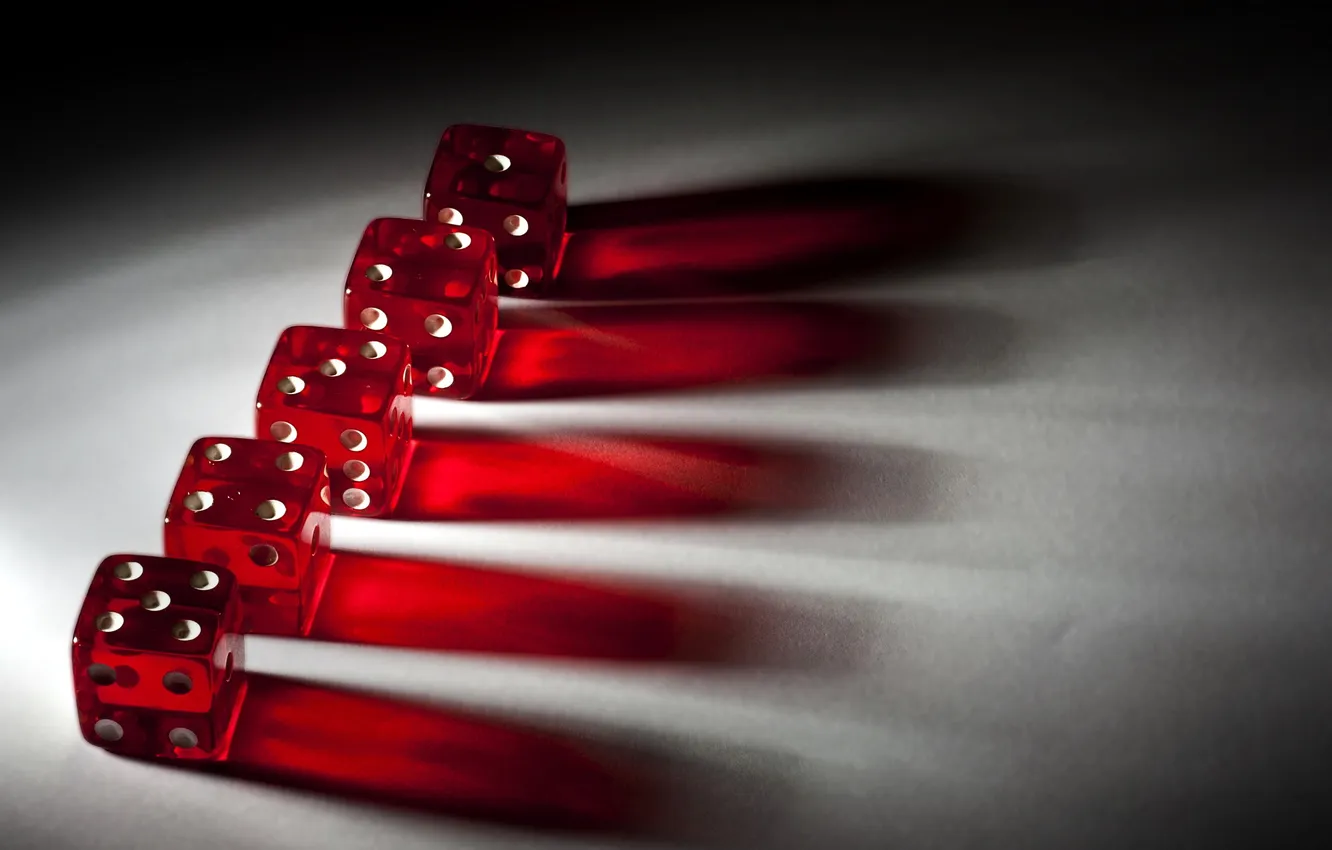 Photo wallpaper macro, the game, bones