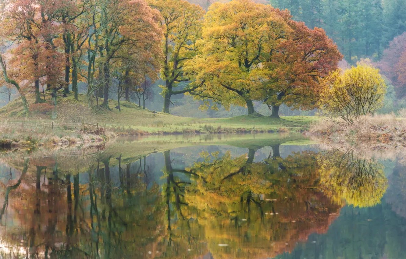 Photo wallpaper autumn, trees, reflection, river, England, England, Cumbria, River Brathay
