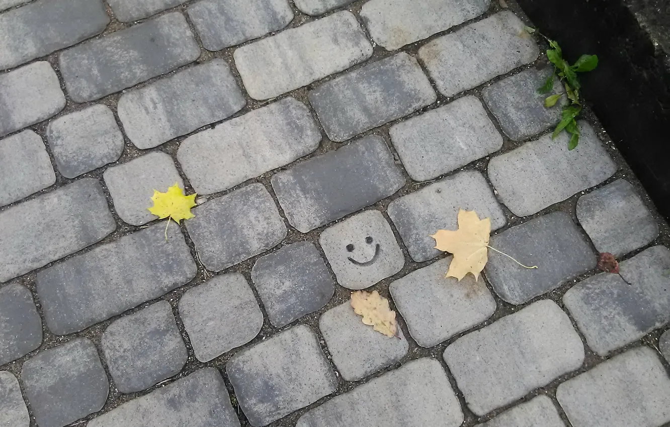 Photo wallpaper pavers, smiley, autumn leaves
