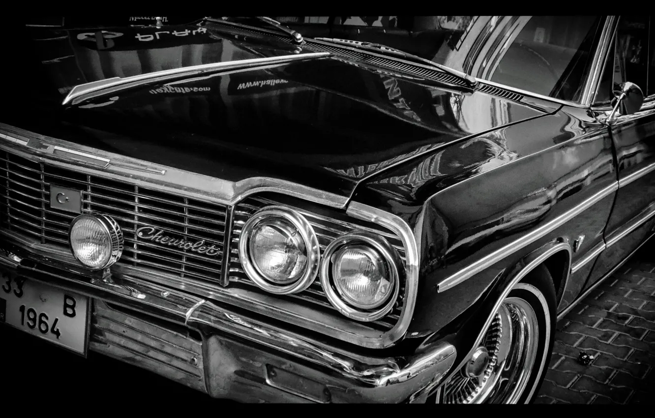 Photo wallpaper classic, impala