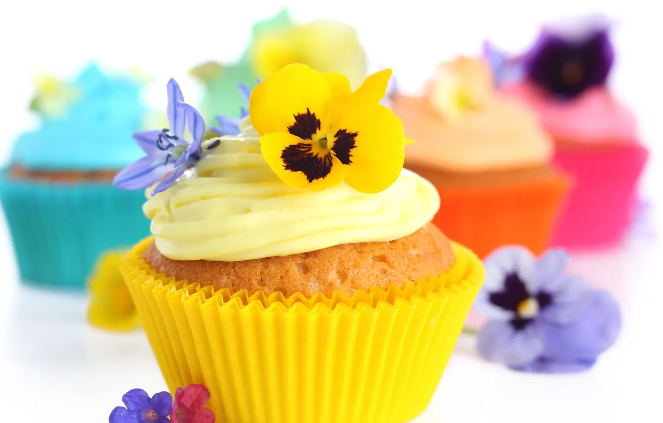 Photo wallpaper decoration, cream, cakes, cupcakes