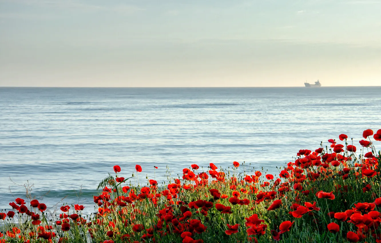 Photo wallpaper sea, summer, flowers, shore, ship, Maki, pond