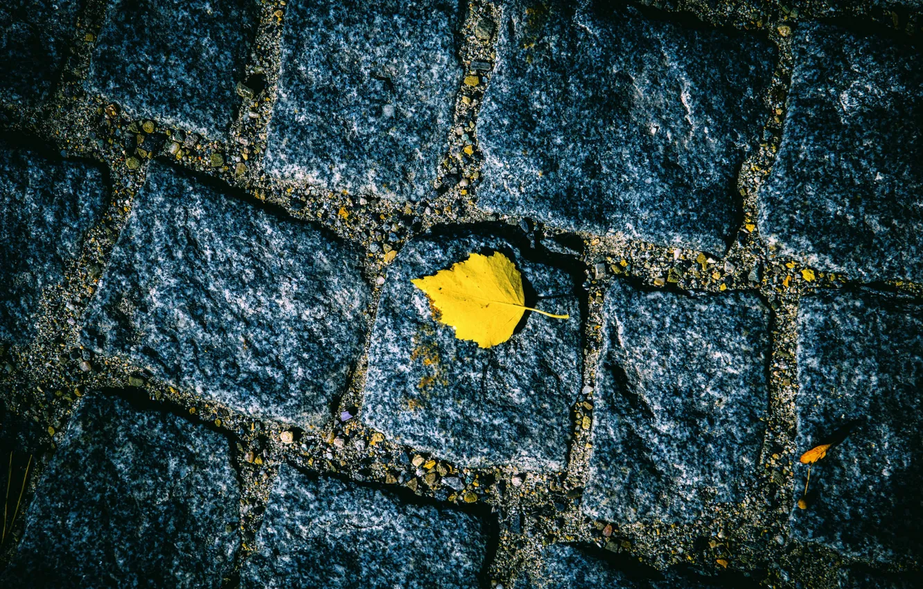 Photo wallpaper road, autumn, leaves, stones, bridge