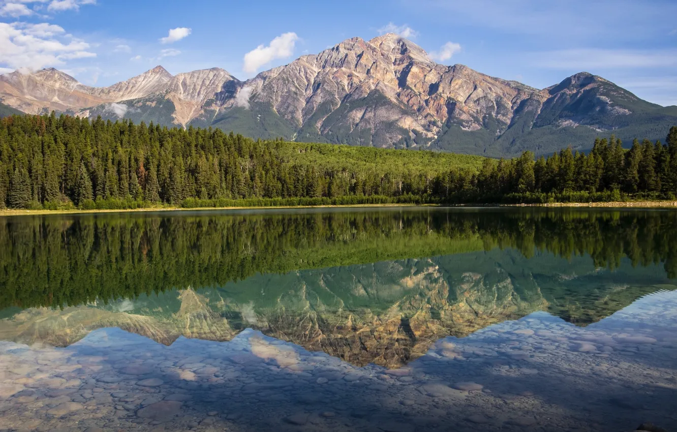 Photo wallpaper forest, landscape, mountains, lake